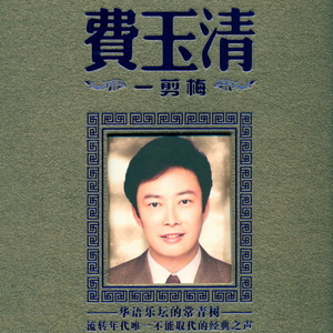 老公插女人视频
